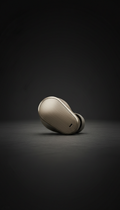 Wireless earbuds with brushed metal finish
